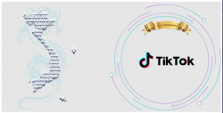 Ban Tổ Chức INTERNETDAY 2020 trân trọng cảm ơn Công ty TIKTOK đã tài trợ chương trình trong vai trò Nhà Tài Trợ Vàng.