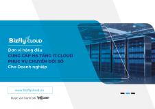 Bizfly Cloud - doanh nghiệp tiên phong ứng dụng và phát triển hệ thống trên nền tảng nguồn mở tại Việt Nam